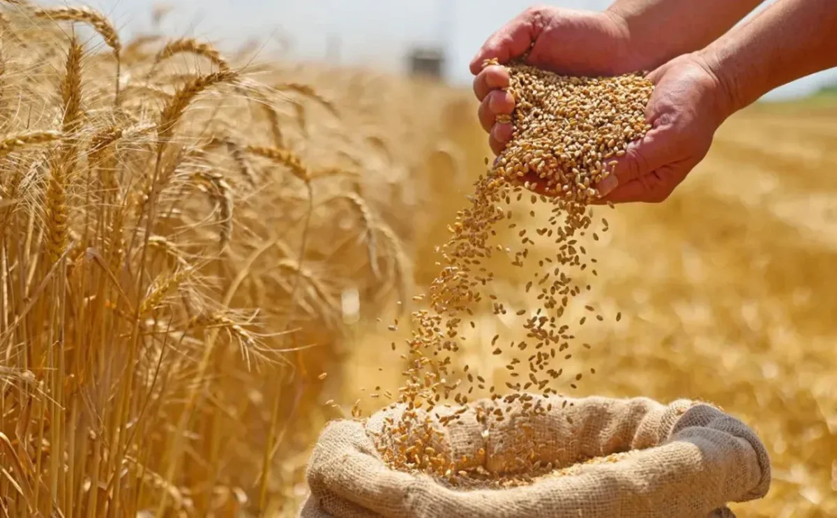 خطة عراقية لضمان الأمن الغذائي خلال المواجهة بين إيران وإسرائيل