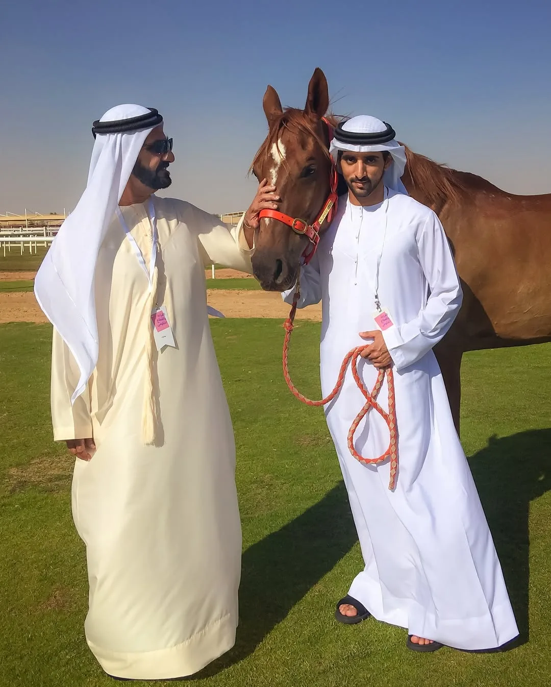 القمة العالمية للرياضة في دبي مشروع جديد يطلقه الشيخ حمدان