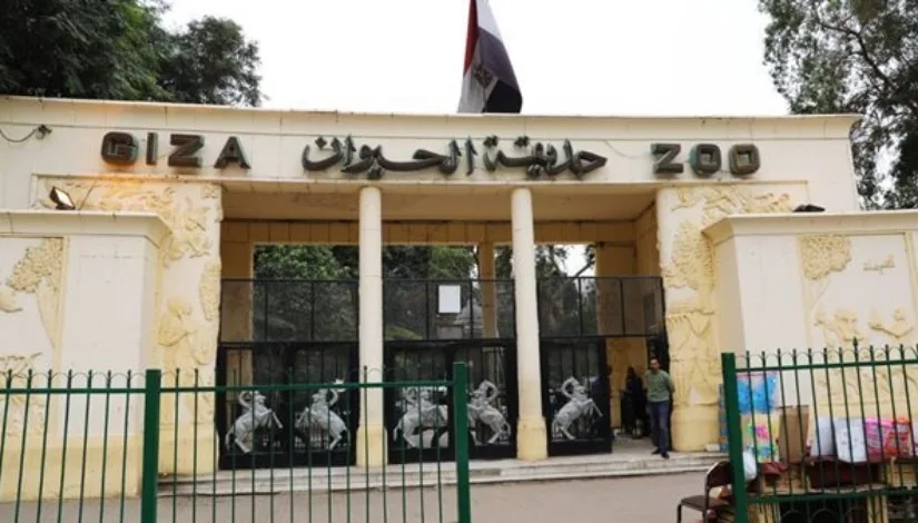 حديقة الحيوان بالجيزة تقترب من الافتتاح بعد أعمال تطوير شاملة