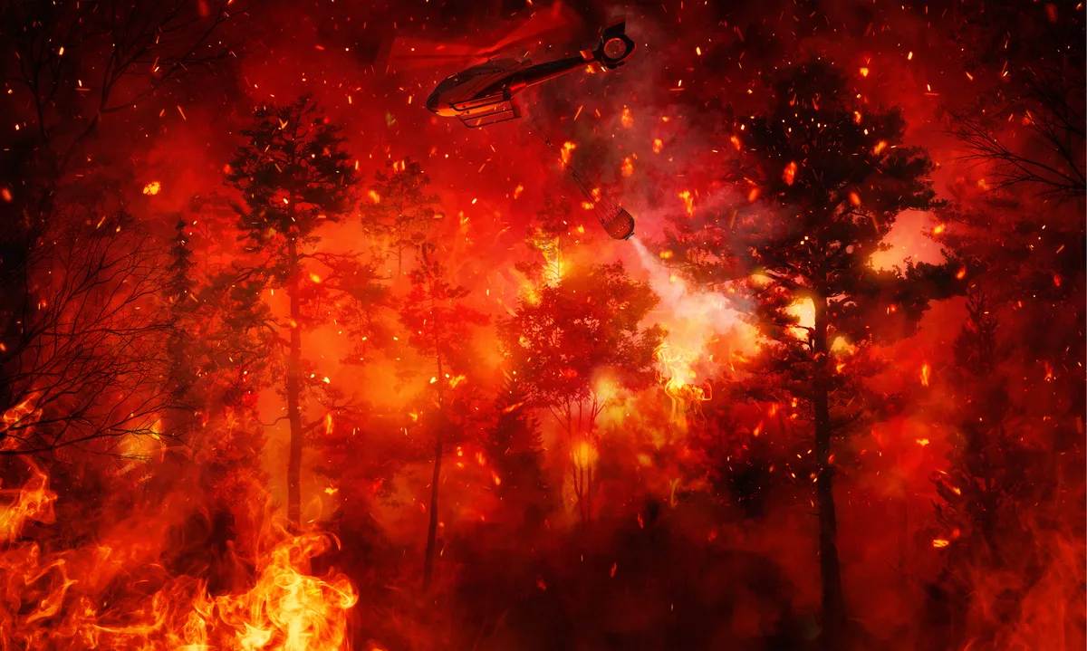 خسائر بشرية في حريق غابات وسط تركيا.. وفيات وإصابات بين رجال الإنقاذ