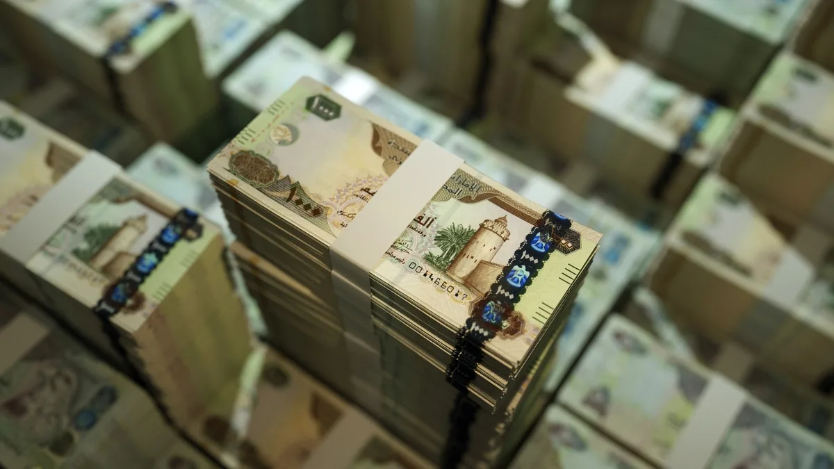 المصرف المركزي الإماراتي يلغي ترخيص شركة صرافة ضمن جهود مكافحة غسل الأموال