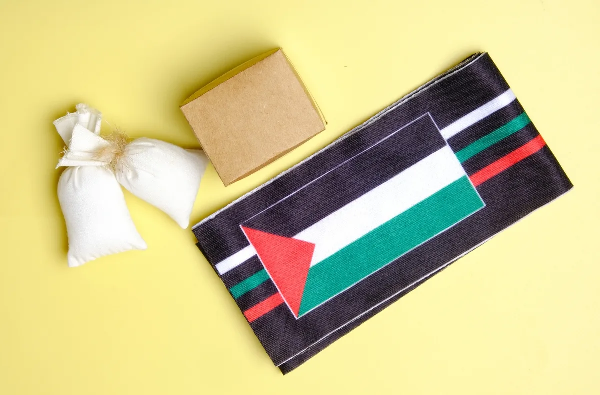 قوافل مساعدات غزة تحمل الغذاء والدواء عبر المعابر