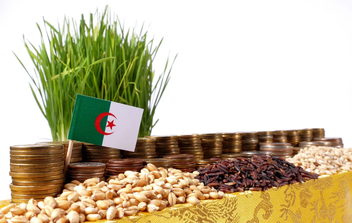 قروض بـ150 مليون دينار لدعم الفلاحين في الجزائر