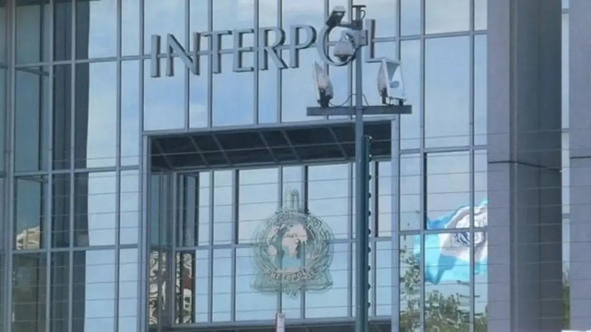 اعتقالات ضمن عملية سيرينجيتي 2.0