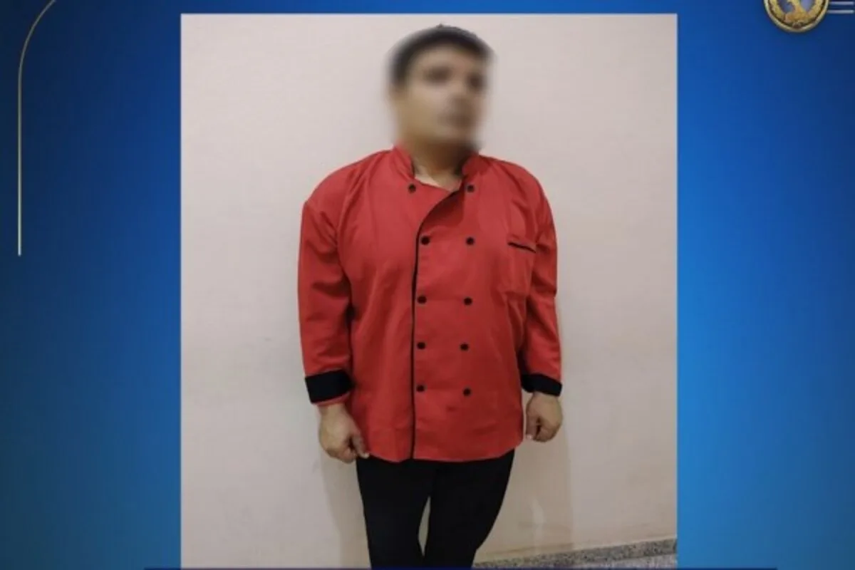 مصر: القبض على طباخ لضربه قطة حتى الموت في قرية سياحية
