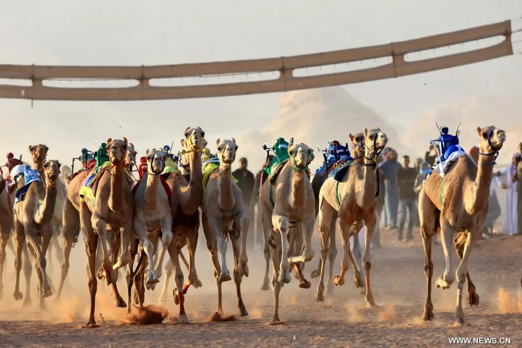 بدء فعاليات موسم الأردن لسباقات الهجن على ميدان الشيخ زايد