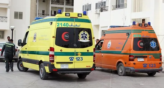 8 قتلى و35 مصاباً جراء حريق في مصنع ملابس بالمحلة الكبرى بمصر