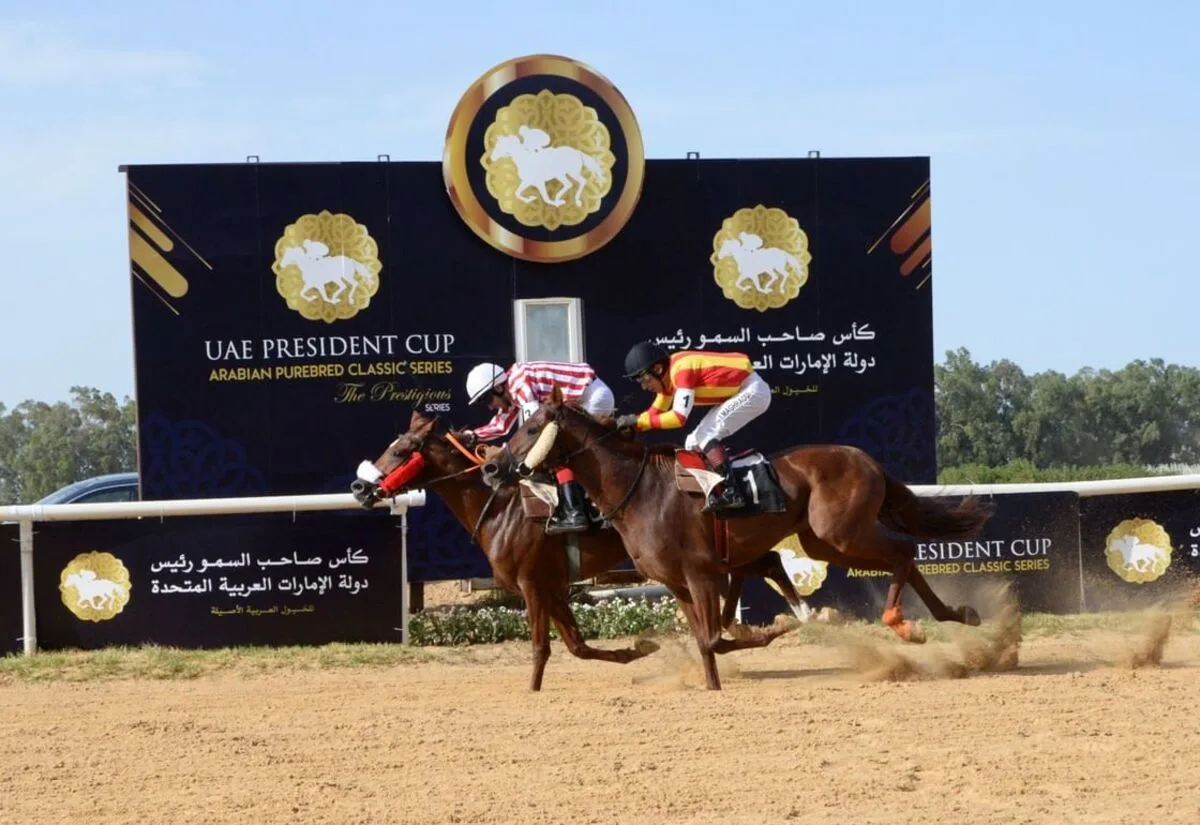 كأس رئيس الدولة للخيول العربية: مواجهة قوية بين الأبطال غداً ببلجيكا