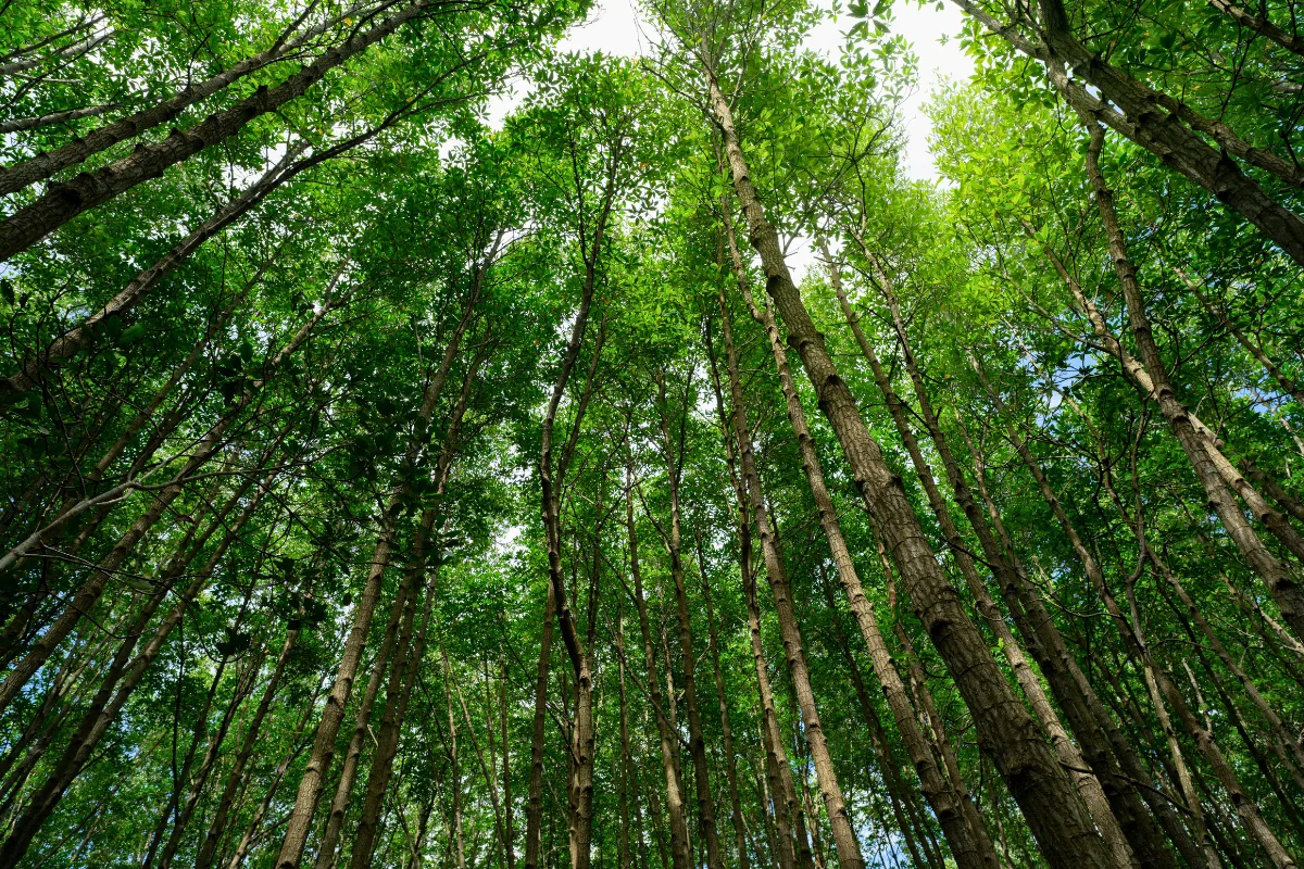 وكالة أوروبية: الوضع العام للبيئة في أوروبا ليس جيداً