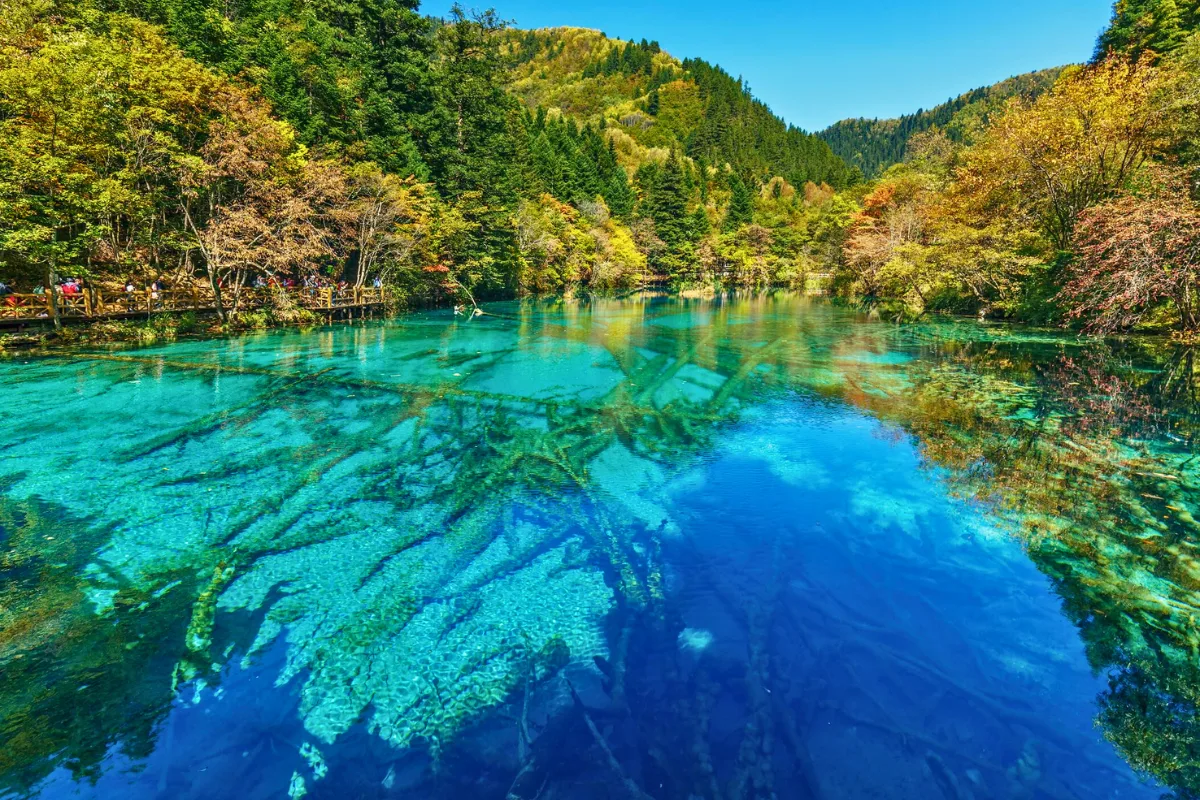 الصين تُدرج 34 محمية طبيعية ضمن شبكة اليونسكو للمحيطات الحيوية