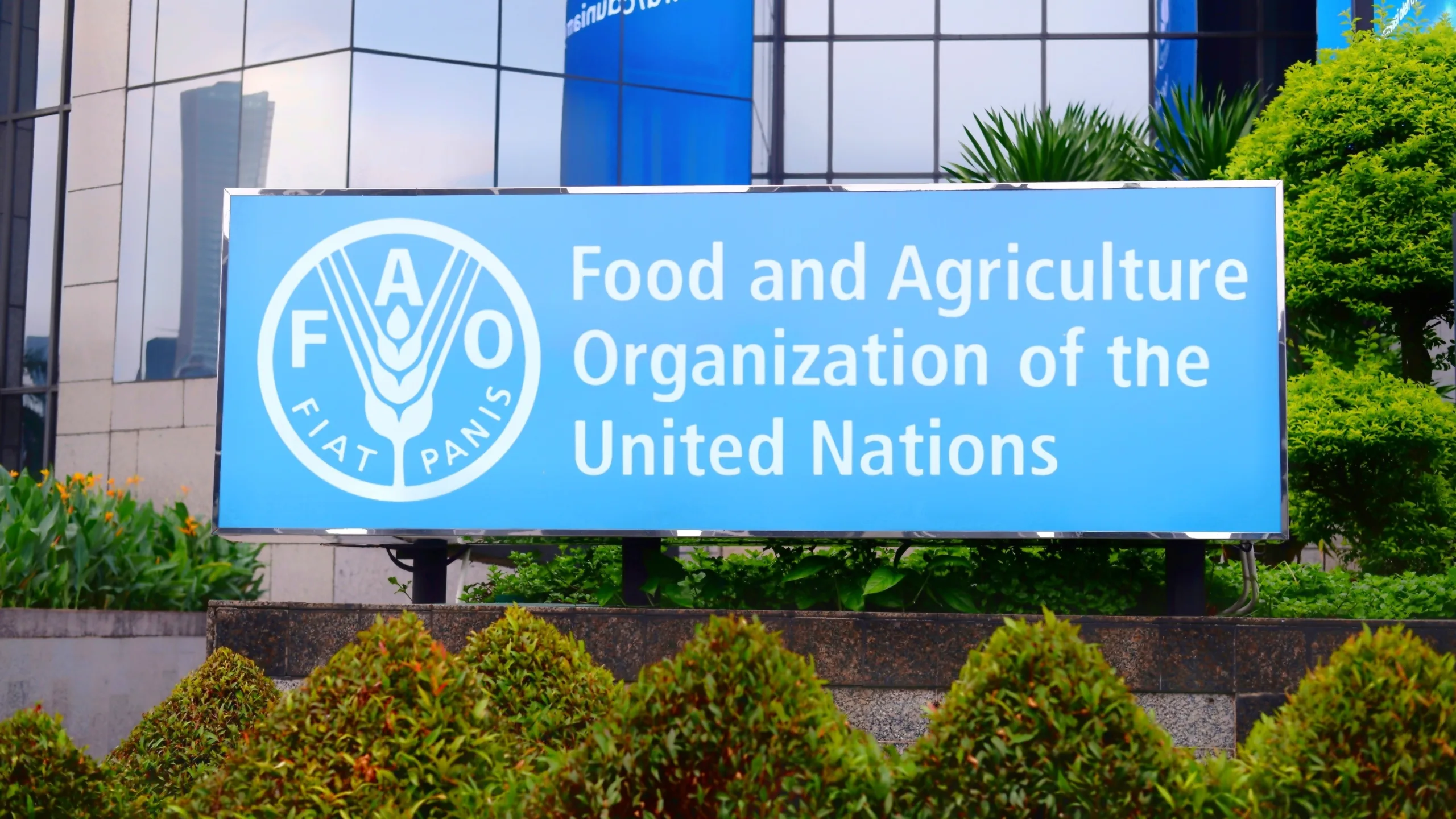 استقرار أسعار السلع الغذائية حول العالم في أغسطس