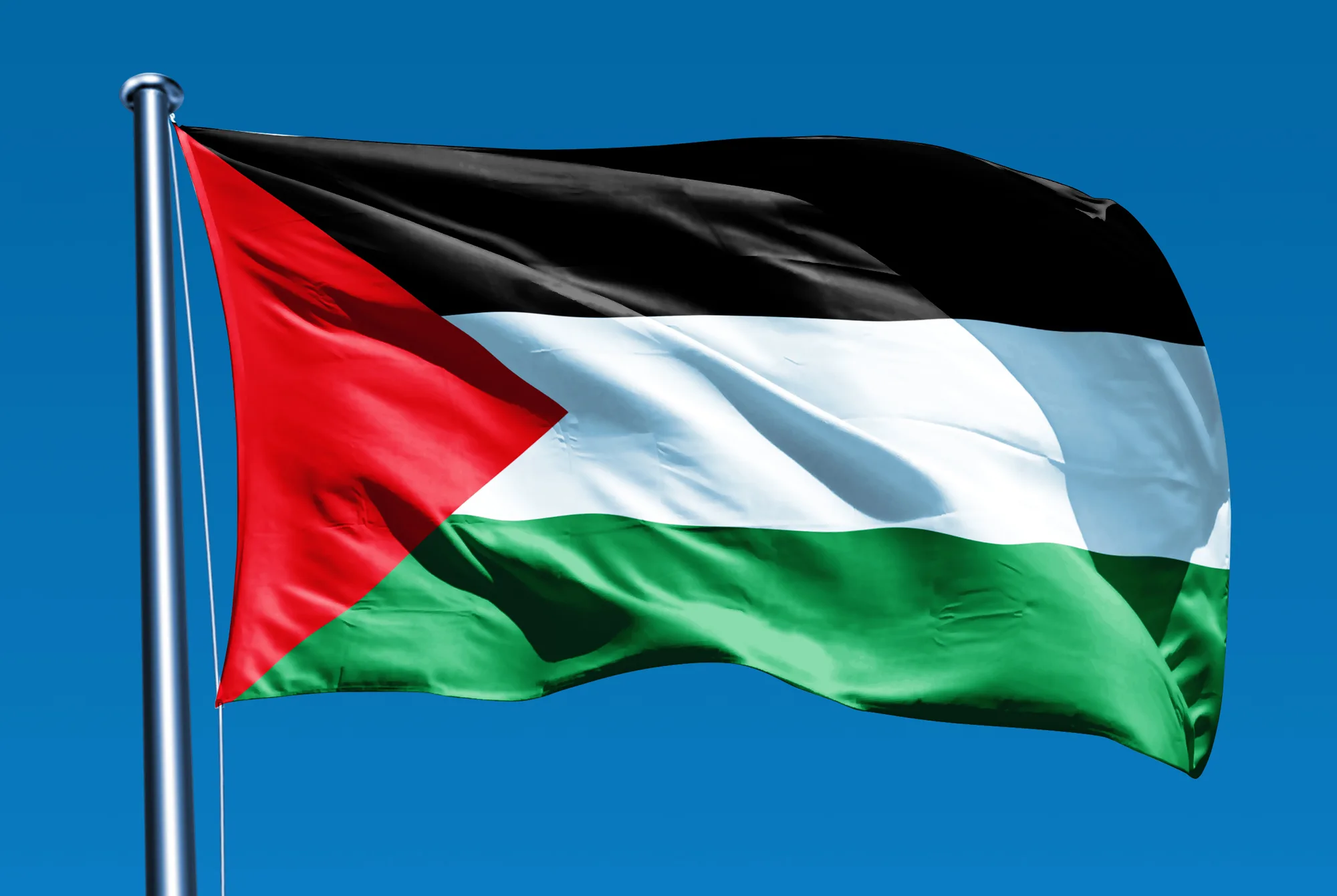مصر ترحب بإعلان البرتغال نيتها الاعتراف بالدولة الفلسطينية