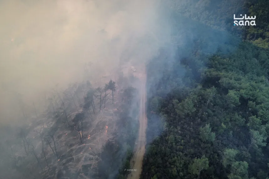 صورة جوية لحريق غابات في ريف اللاذقية السوري وسط دخان كثيف