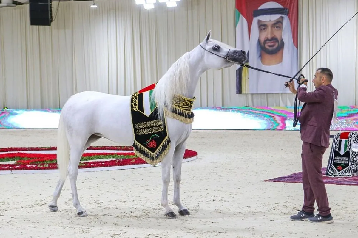 تتويج الفائزين في كأس الإمارات العالمي ببلجيكا