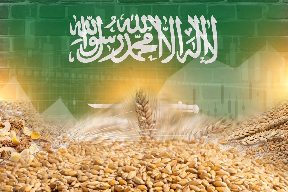السعودية تطرح مناقصة لشراء 420 ألف طن من القمح