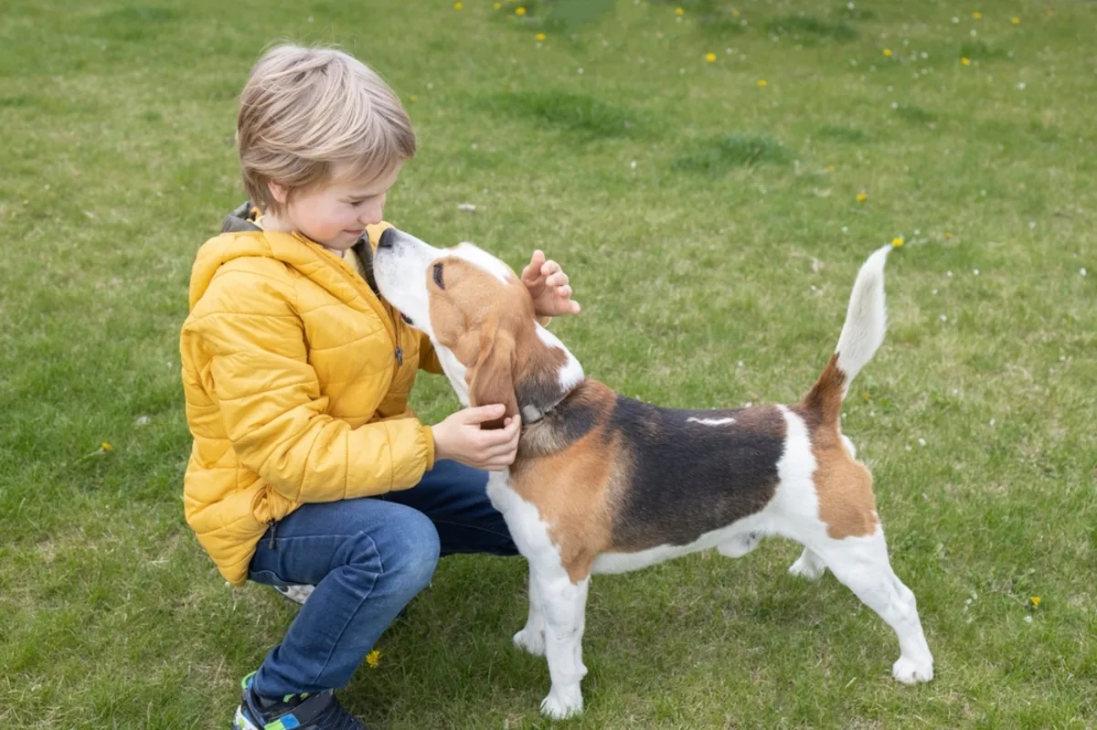 طفل يلعب مع كلب في المنزل