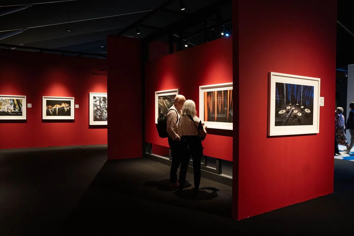 جوائز إكسبوجر الدولية للتصوير والأفلام