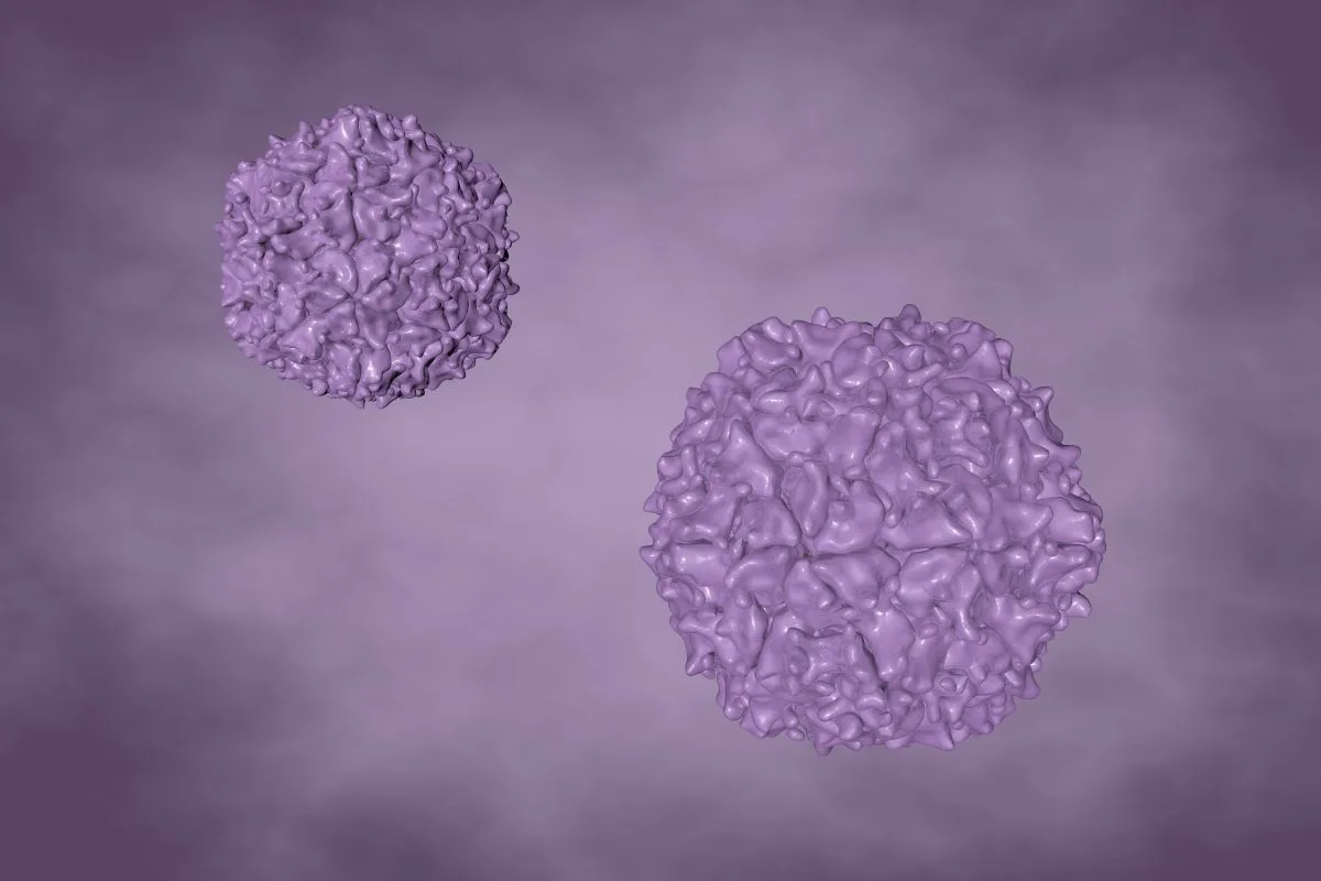 ألمانيا تؤكد رصد سلالة لفيروس شلل الأطفال في مياه صرف بهامبورغ