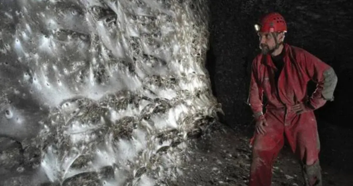 اكتشاف مذهل على الحدود اليونانية–الألبانية.. كهف يضم أكثر من 100 ألف عنكبوت!