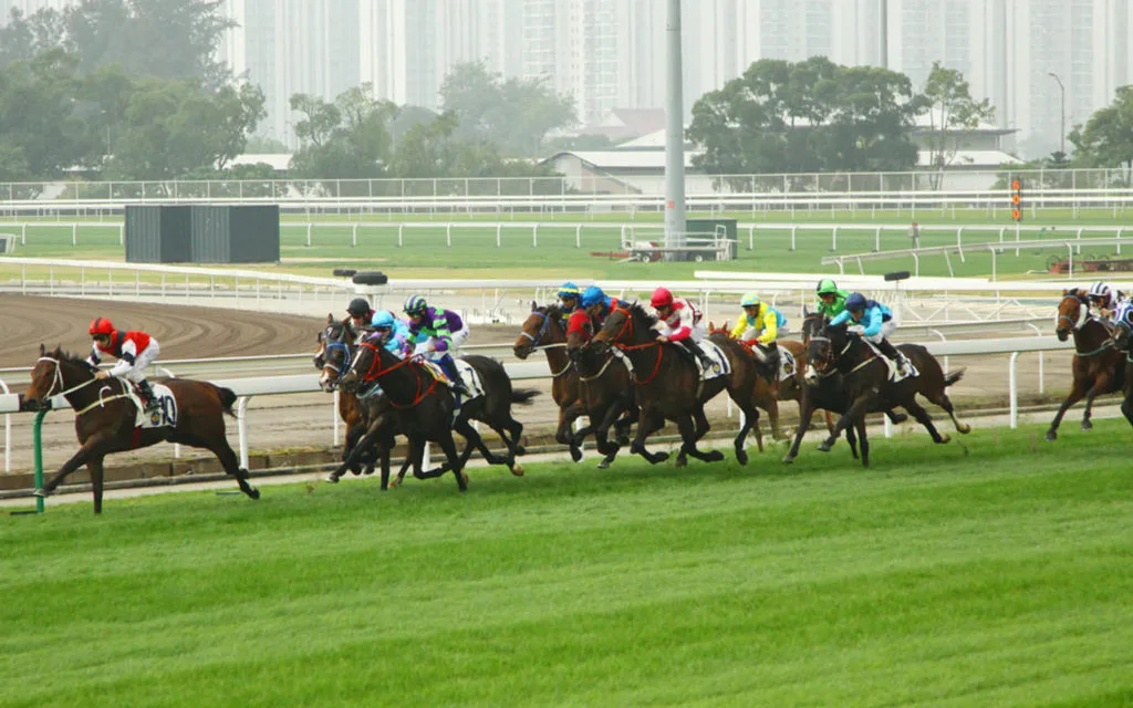 انطلاق السباق الافتتاحي لنادي الشارقة للفروسية