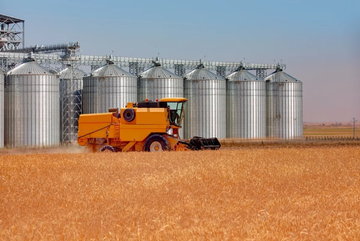 الجزائر تطرح مناقصة لشراء 50 ألف طن من القمح الصلد