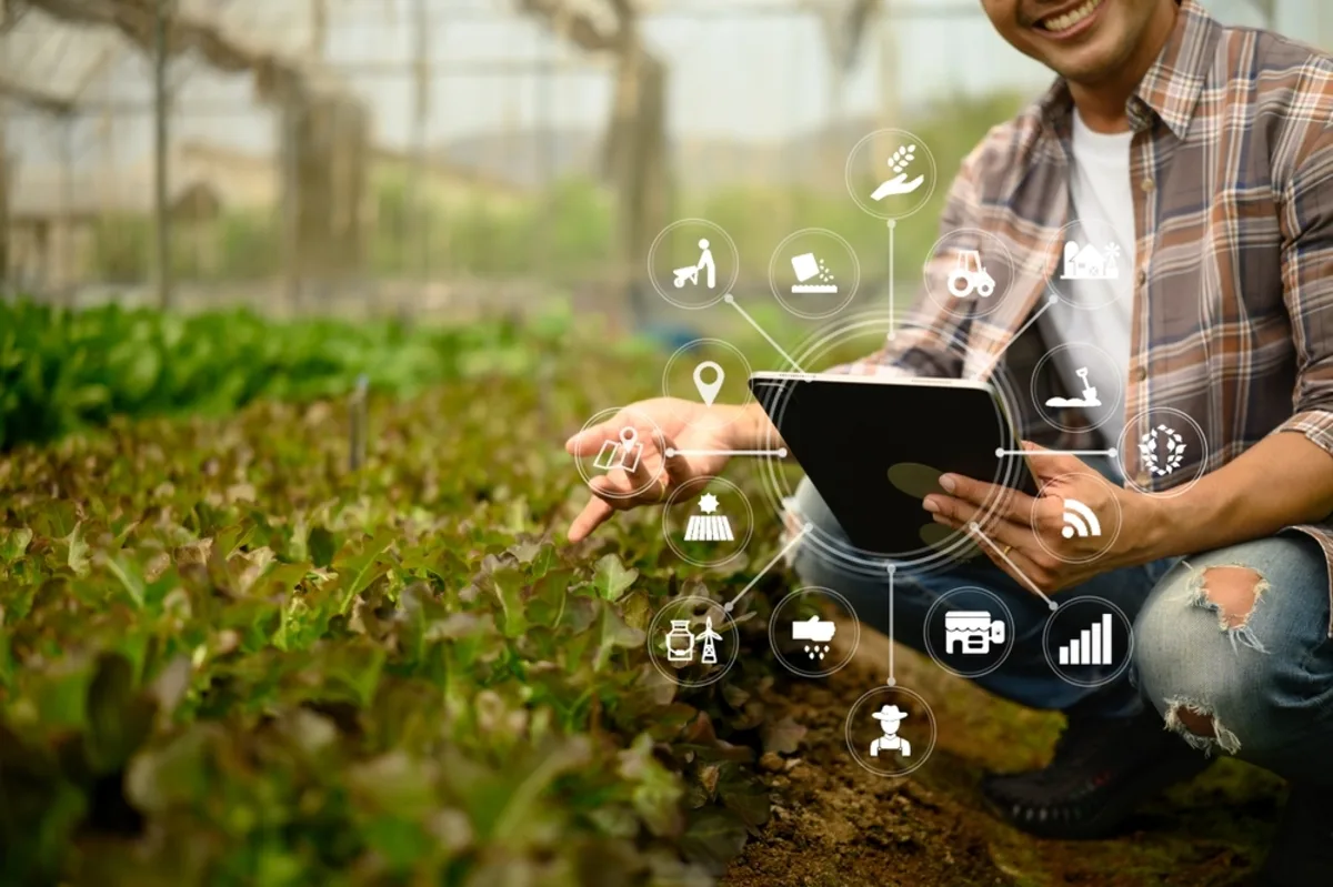 إطلاق الذكاء الاصطناعي الزراعي في الإمارات