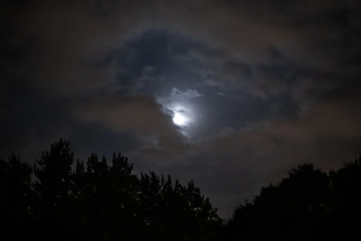 لماذا تستمر الشمس في الغياب عن هذه المدينة لأكثر من شهرين؟