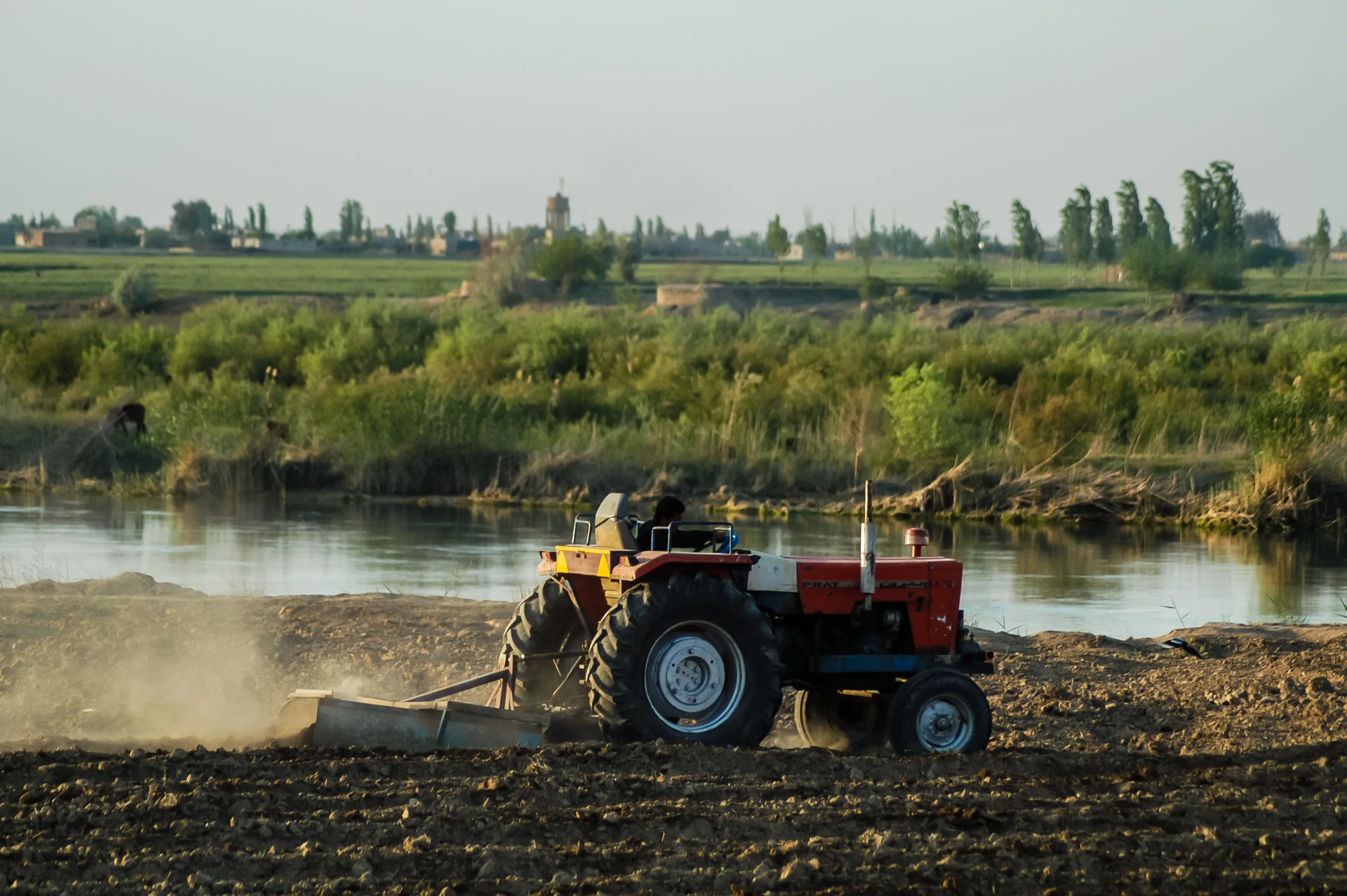 سوريا تنظم استيراد المحاصيل الزراعية لدعم المنتج المحلي