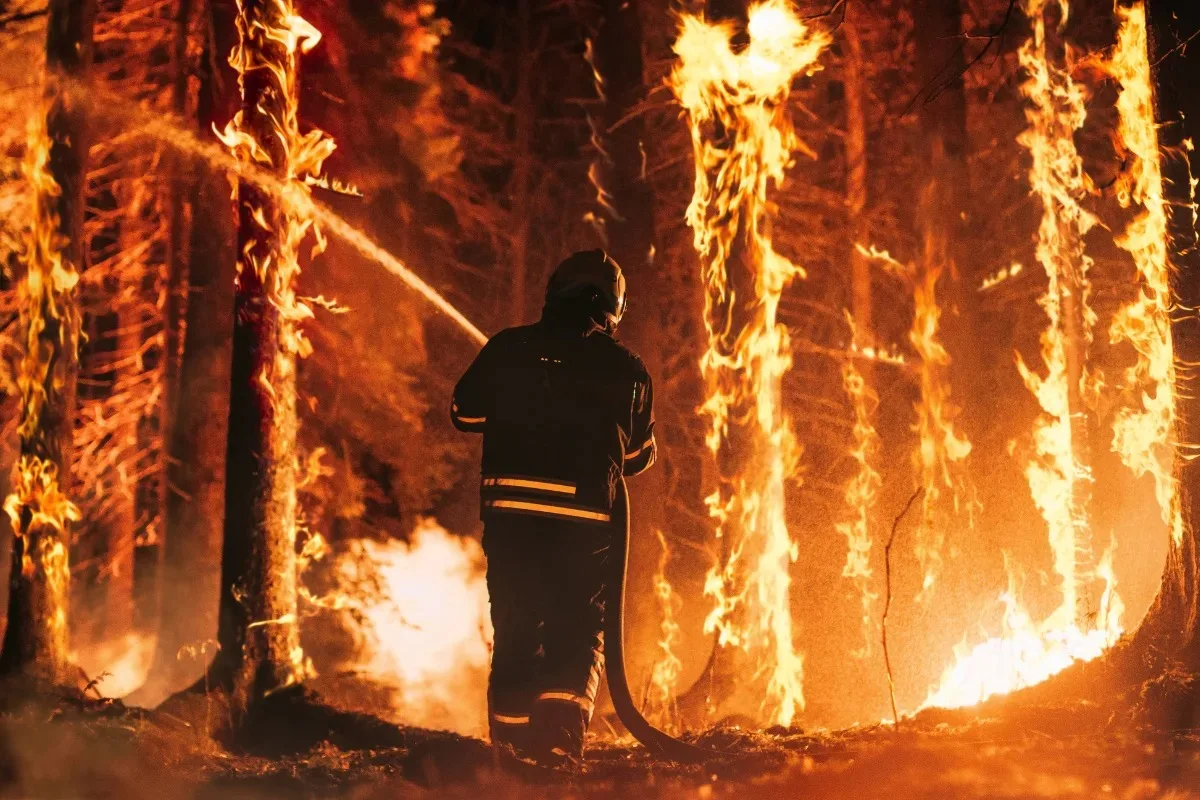 13 مليون دولار لضحايا حرائق الغابات في أستراليا