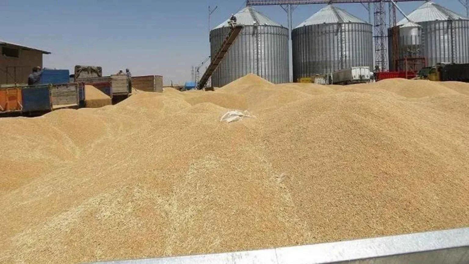 الأردن يعزز مخزوناته الغذائية بشراء 60 ألف طن قمح