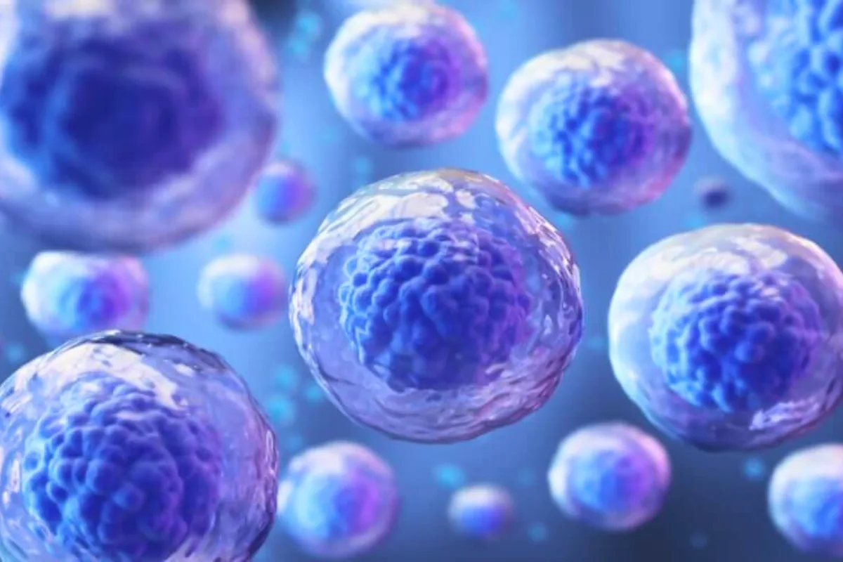 اليابان تعتمد أول علاج طبي يعتمد على خلايا iPS