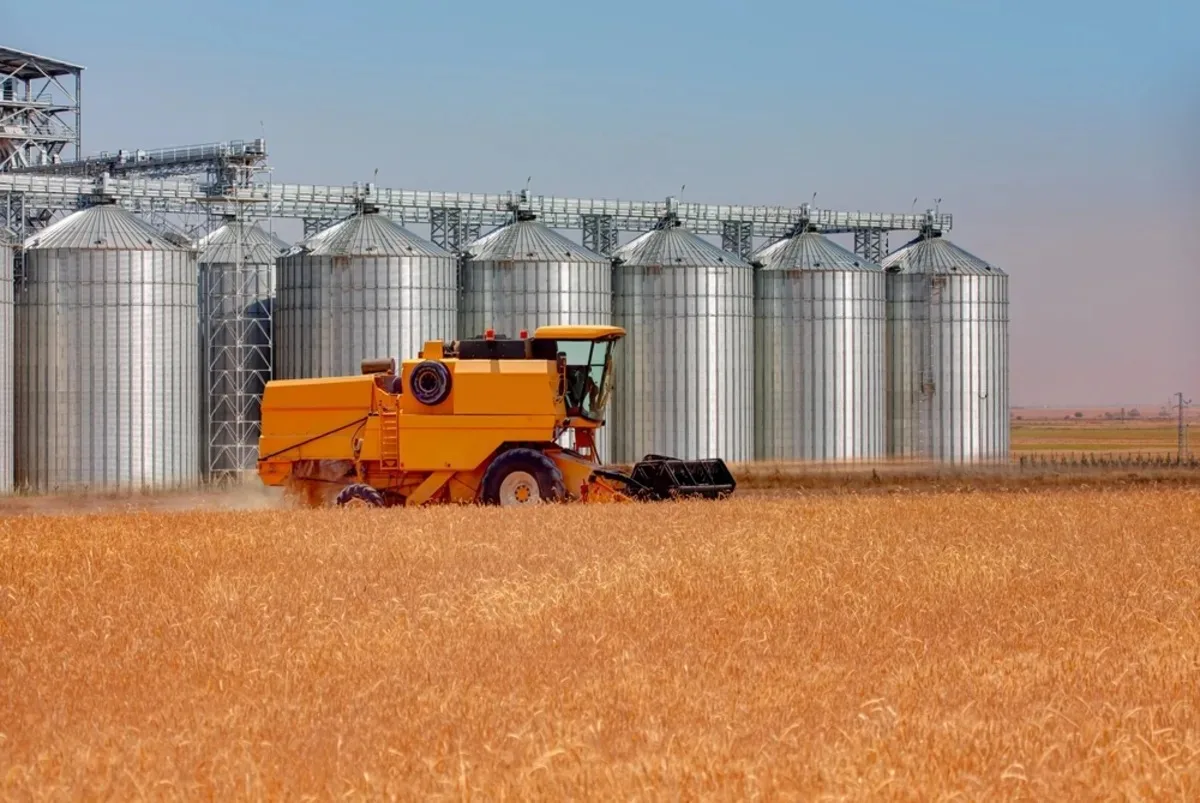 تونس تطرح مناقصة لشراء 125 ألف طن من القمح اللين و50 ألف طن من القمح الصلد