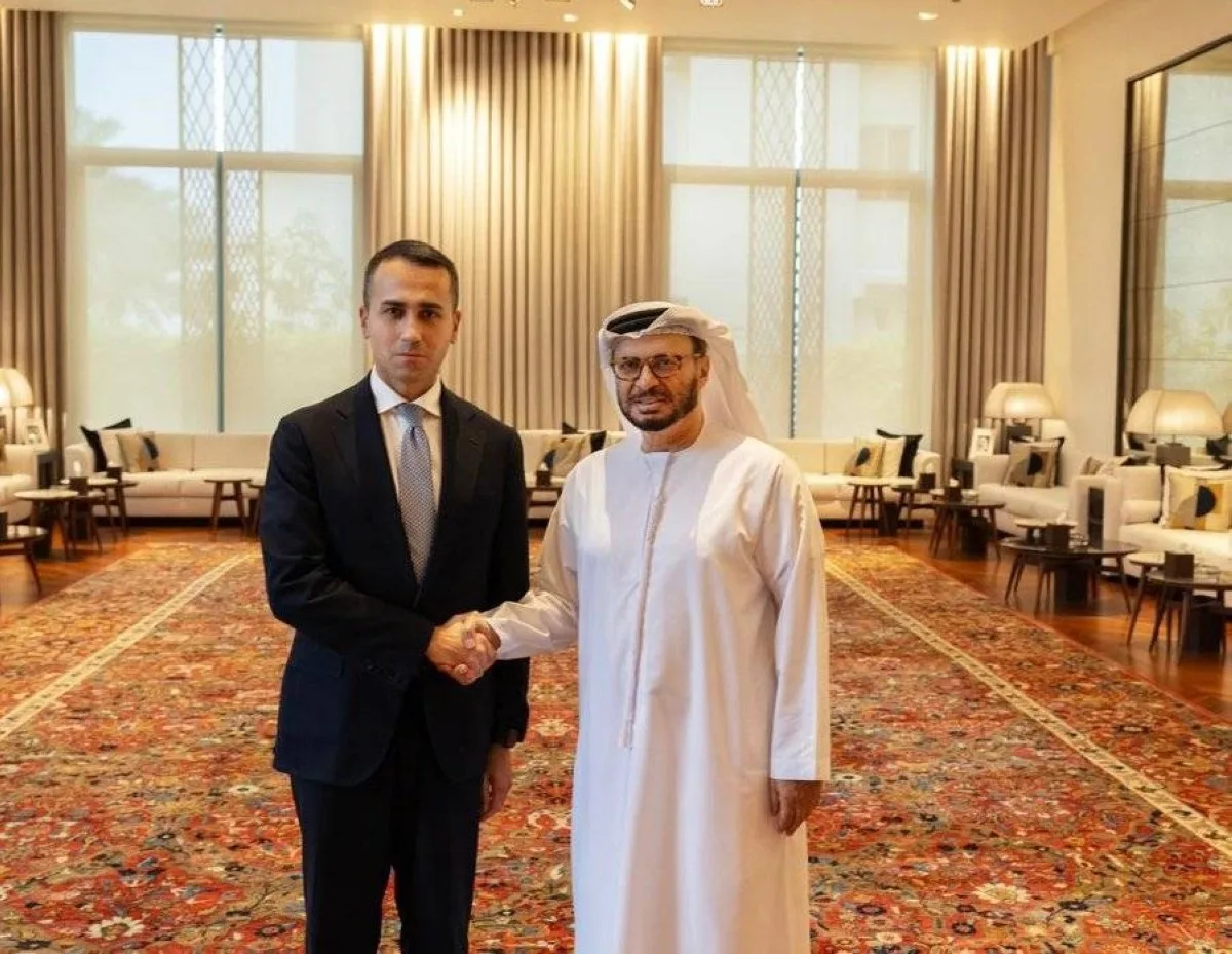 أنور قرقاش: الإمارات ماضية في الدفاع عن الوطن بثبات