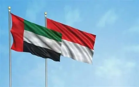 رئيس الدولة يتلقى اتصالاً هاتفياً من الرئيس الإندونيسي بحثا خلاله مستجدات الأوضاع الإقليمية