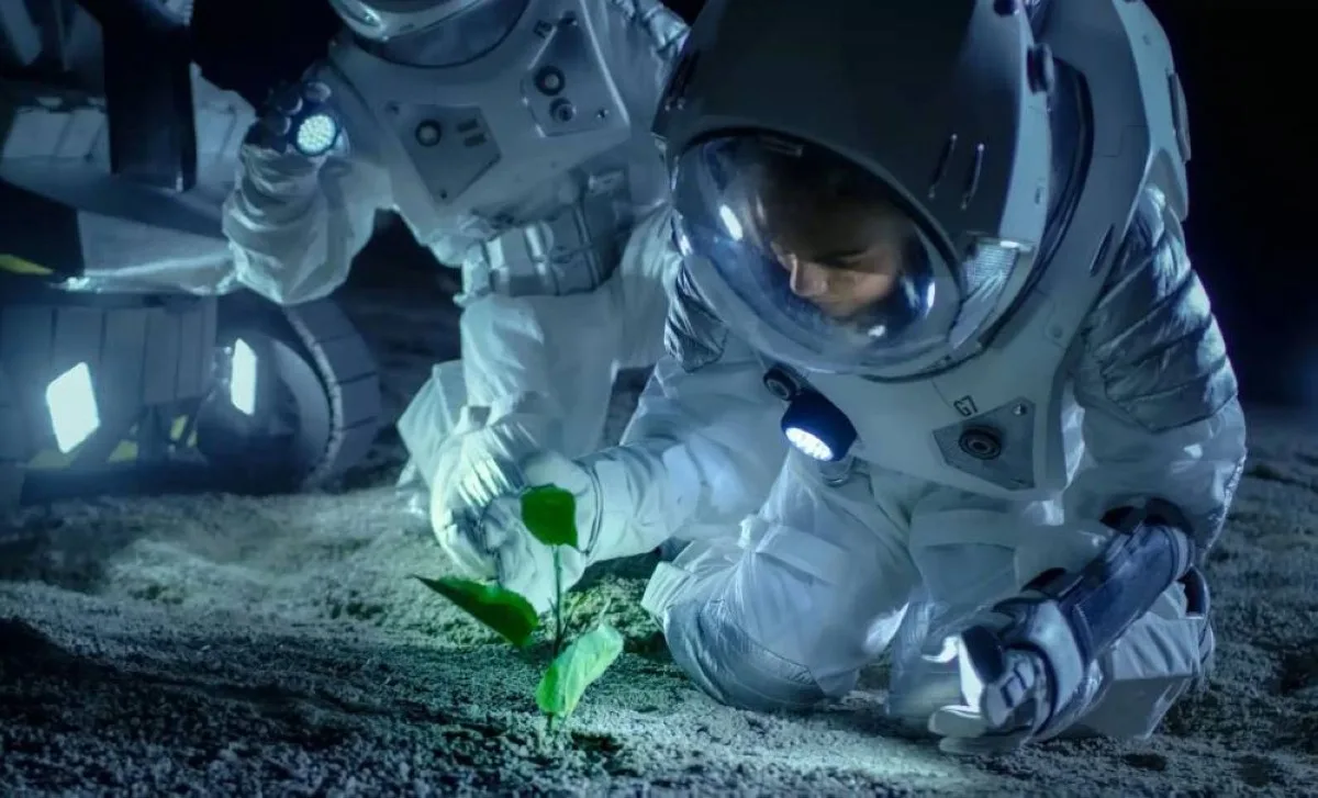 نجاح أول تجربة لزراعة الحمص في تربة تحاكي بيئة القمر