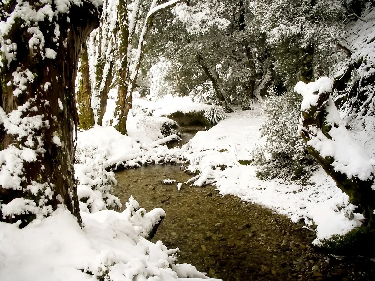 الأحوال الجوية القاسية توقف حركة القطارات في هولندا