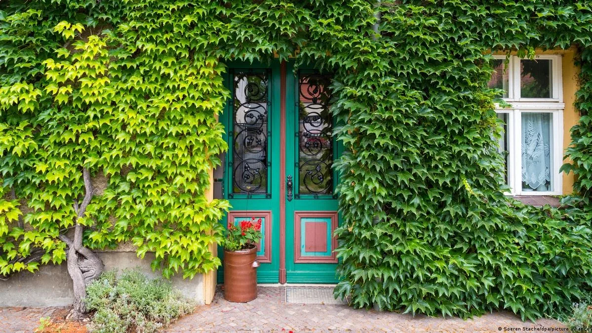 كيف تغير “المساحات الخضراء داخل المنازل جودة الحياة اليومية؟