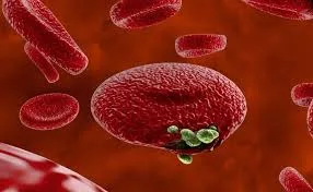 الإمارات تقود جهوداً عالمية متقدمة للقضاء على الملاريا