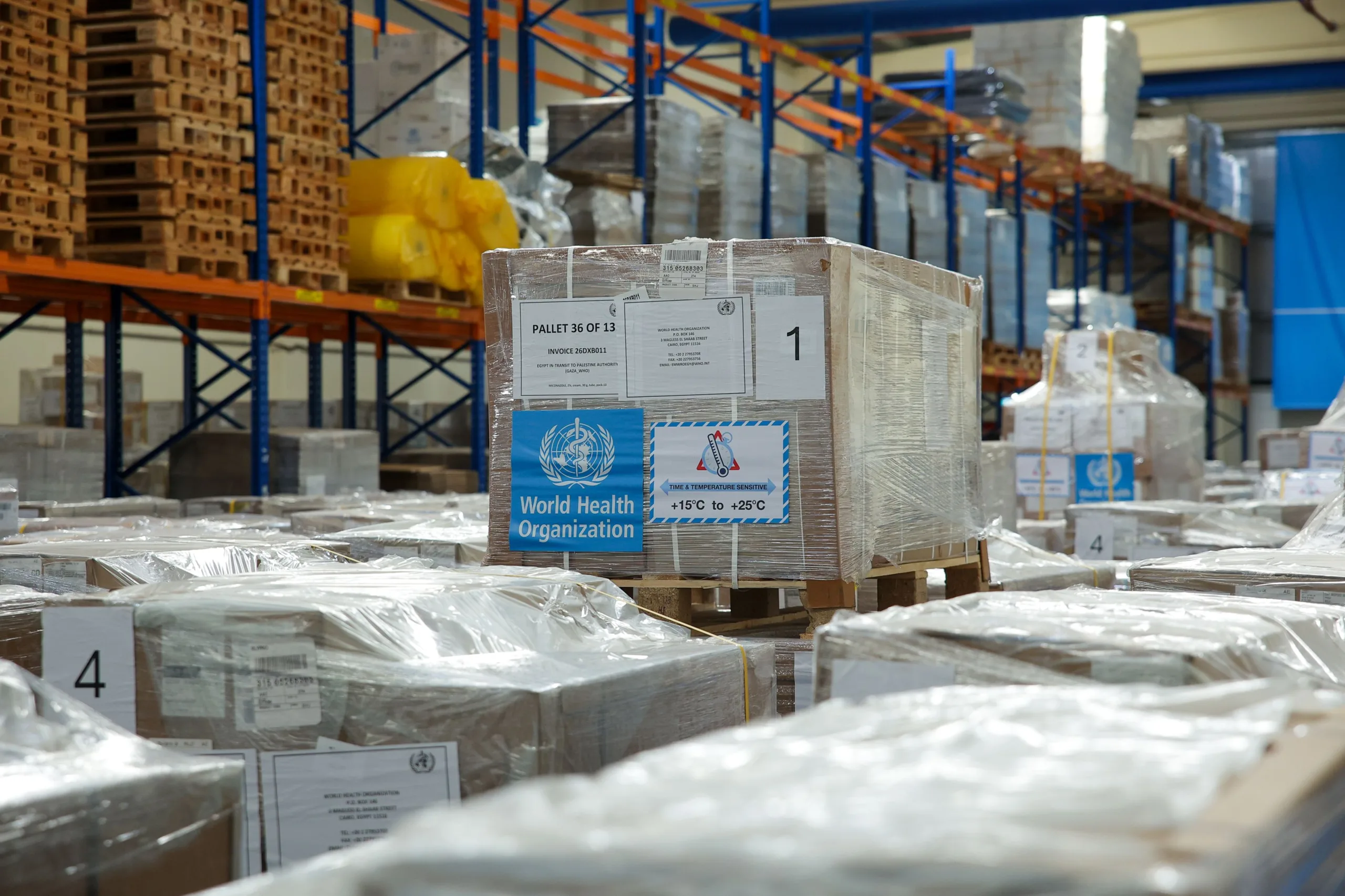 دبي الإنسانية تنقل 22.3 طناً مساعدات طبية إلى غزة