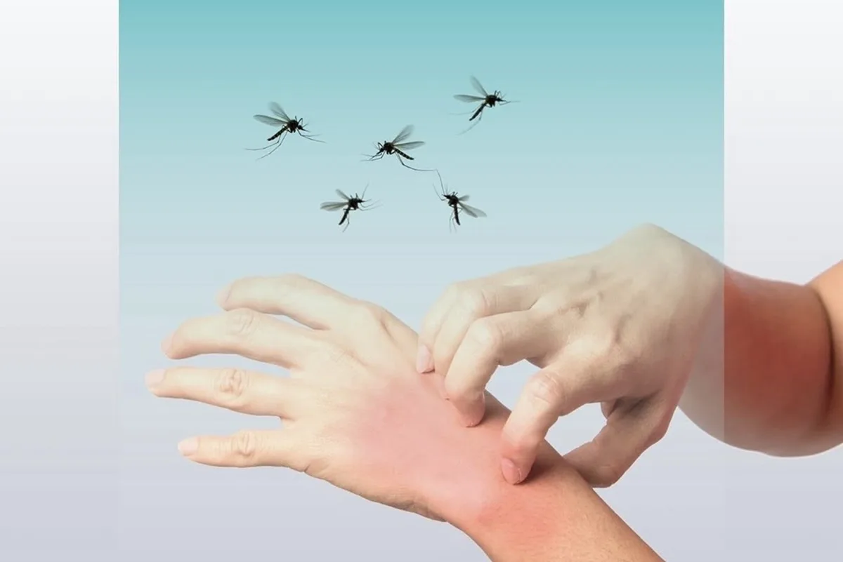 صحة دبي تحدد 3 إجراءات للوقاية من الملاريا للمسافرين