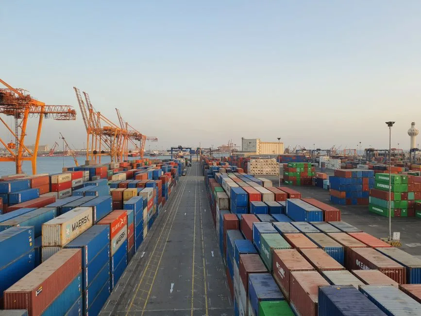 السعودية تحدد صلاحية تصاريح استيراد الخضار والفواكه بـ15 يوماً