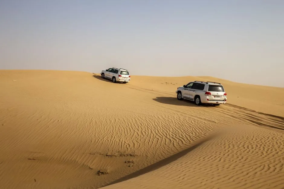 مهرجان ليوا يعود 11 ديسمبر مع أول عروض «نيترو سيركس»